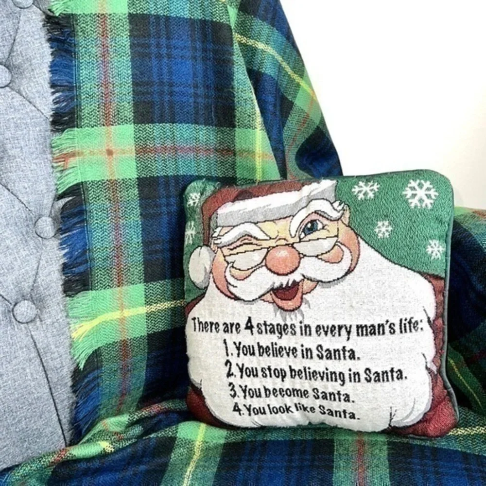 4 Stages in Every Man’s Life Christmas Tapestry Throw Pillow